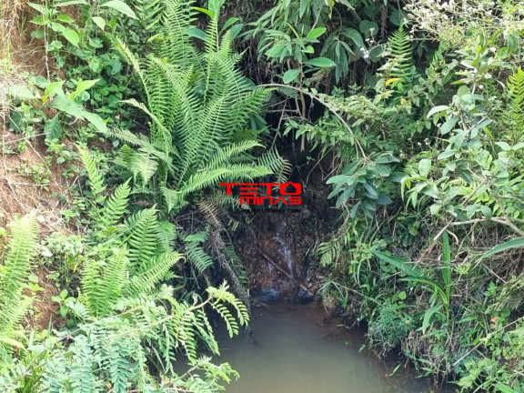 Imagem Imóvel à Venda, em Pouso Alto - Pouso Alto Imagem Imóvel à Venda, em Pouso Alto - Pouso Alto
