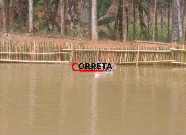 Imagem Chácara com 3 Quartos à Venda, 10 m² em Vargem Do Salto - Ibiúna Imagem Chácara com 3 Quartos à Venda, 10 m² em Vargem Do Salto - Ibiúna