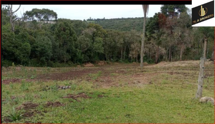 Imagem Imóvel com 2 Quartos à Venda, 32.000 m² em Rio Da Areia - Lapa Imagem Imóvel com 2 Quartos à Venda, 32.000 m² em Rio Da Areia - Lapa
