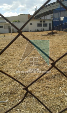 Imagem Terreno para Alugar, 35 m² em Jardim Palma Travassos - Ribeirão Preto Imagem Terreno para Alugar, 35 m² em Jardim Palma Travassos - Ribeirão Preto