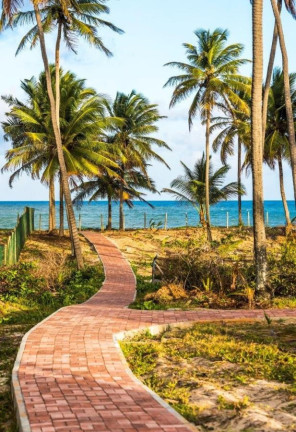 Imagem Terreno à Venda, 700 m² em Mata De São João - Mata De São João
