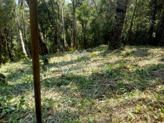 Imagem Terreno à Venda, 1 m² em Cidade Do Sol Ii - Campos Do Jordão Imagem Terreno à Venda, 1 m² em Cidade Do Sol Ii - Campos Do Jordão