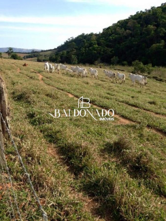 Imagem Imóvel com 4 Quartos à Venda, 726.000 m² em Centro - Monte Sião Imagem Imóvel com 4 Quartos à Venda, 726.000 m² em Centro - Monte Sião