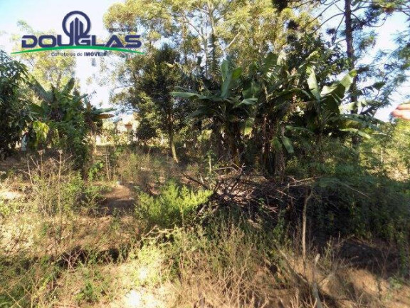 Imagem Imóvel Comercial à Venda, 5.000 m² em águas Claras - Viamão