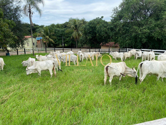 Imagem Chácara com 3 Quartos à Venda, 500 m² em Niquelândia Imagem Chácara com 3 Quartos à Venda, 500 m² em Niquelândia