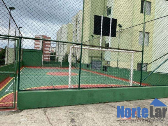 Imagem Apartamento com 3 Quartos à Venda, 60 m² em Vila Amélia - São Paulo Imagem Apartamento com 3 Quartos à Venda, 60 m² em Vila Amélia - São Paulo
