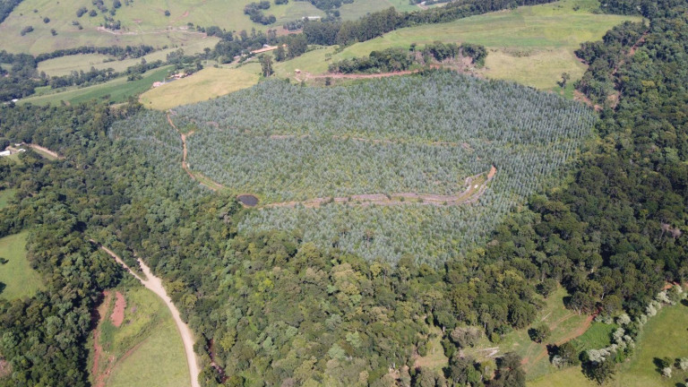 Imagem Terreno à Venda, 170.000 m² em Interior - Jaborá Imagem Terreno à Venda, 170.000 m² em Interior - Jaborá