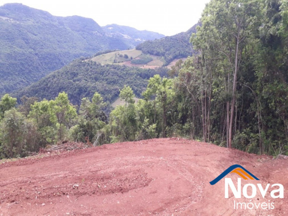 Imagem Imóvel à Venda, 31.701 m² em Linha Pirajá Baixa - Nova Petrópolis Imagem Imóvel à Venda, 31.701 m² em Linha Pirajá Baixa - Nova Petrópolis