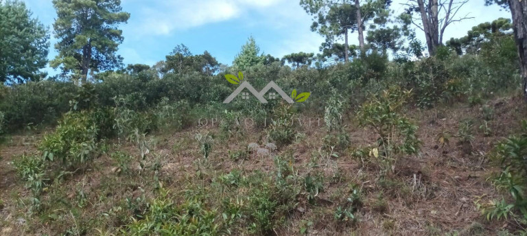 Imagem Terreno à Venda, 5 m² em Cidade Do Sol Ii - Campos Do Jordão Imagem Terreno à Venda, 5 m² em Cidade Do Sol Ii - Campos Do Jordão