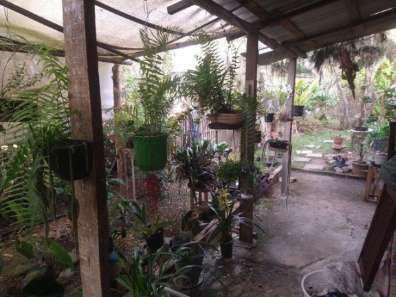 Imagem Fazenda à Venda, 3.000 m² em Jardim Santa Luzia - Guaratinguetá