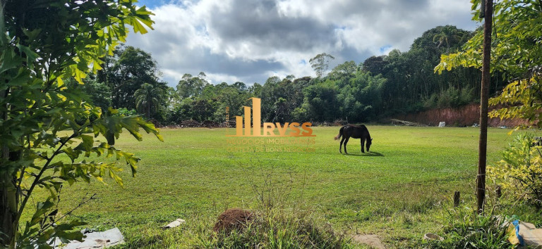 Imagem Terreno à Venda, 219.812 m² em Fazenda Aya - Suzano Imagem Terreno à Venda, 219.812 m² em Fazenda Aya - Suzano