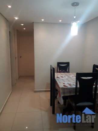 Imagem Apartamento com 2 Quartos à Venda, 63 m² em Vila Guilherme - São Paulo Imagem Apartamento com 2 Quartos à Venda, 63 m² em Vila Guilherme - São Paulo