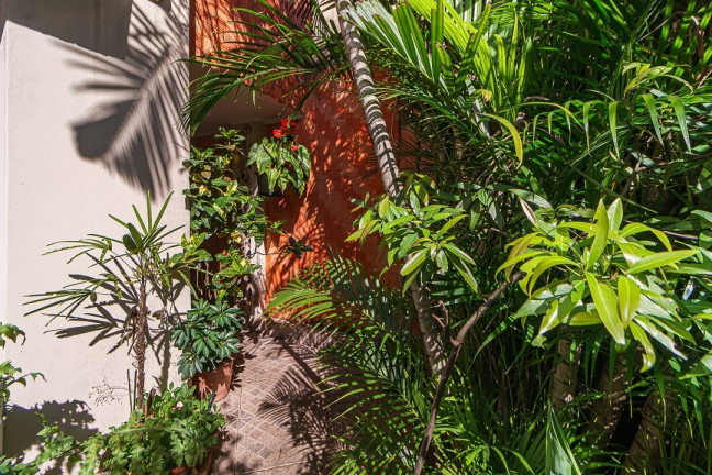 Imagem Casa com 3 Quartos à Venda, 115 m² em Sumaré - São Paulo Imagem Casa com 3 Quartos à Venda, 115 m² em Sumaré - São Paulo