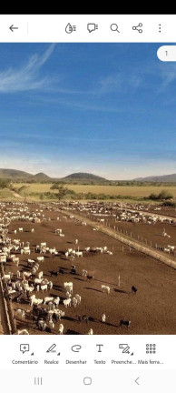 Imagem Chácara com 5 Quartos à Venda, 100 m² em Muquém De São Francisco