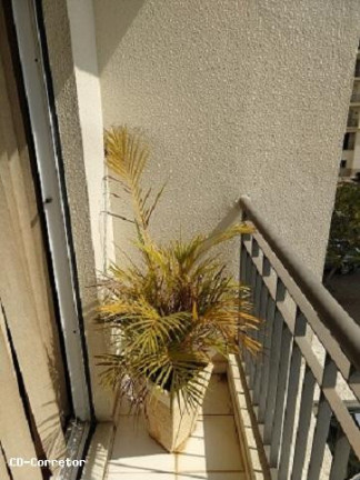 Imagem Apartamento com 2 Quartos à Venda, 48 m² em Vila Firmiano Pinto - São Paulo