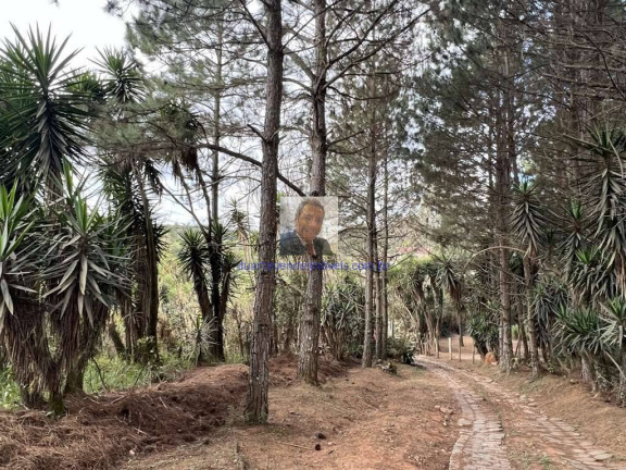 Imagem Terreno à Venda, 18.455 m² em Taboleiro Verde - Cotia Imagem Terreno à Venda, 18.455 m² em Taboleiro Verde - Cotia