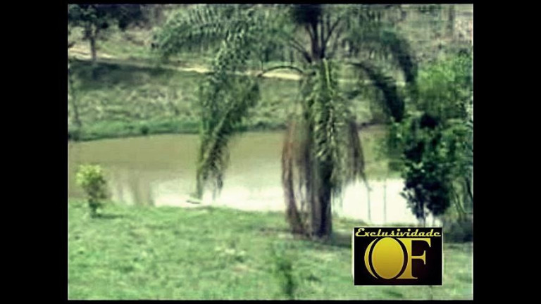 Imagem Chácara à Venda, 55 m² em Rural - Amparo Imagem Chácara à Venda, 55 m² em Rural - Amparo