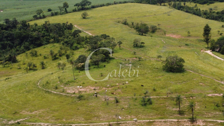Imagem Chácara com 3 Quartos à Venda, 11 m² em Martinho Prado Junior - Mogi Guaçu Imagem Chácara com 3 Quartos à Venda, 11 m² em Martinho Prado Junior - Mogi Guaçu