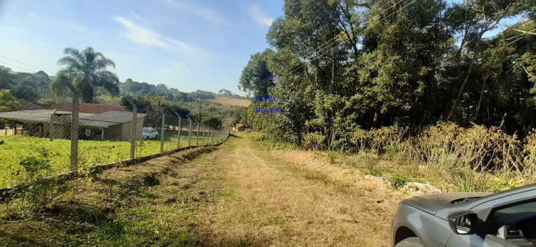 Imagem Imóvel com 2 Quartos à Venda, 6.000 m² em Rural - Contenda Imagem Imóvel com 2 Quartos à Venda, 6.000 m² em Rural - Contenda