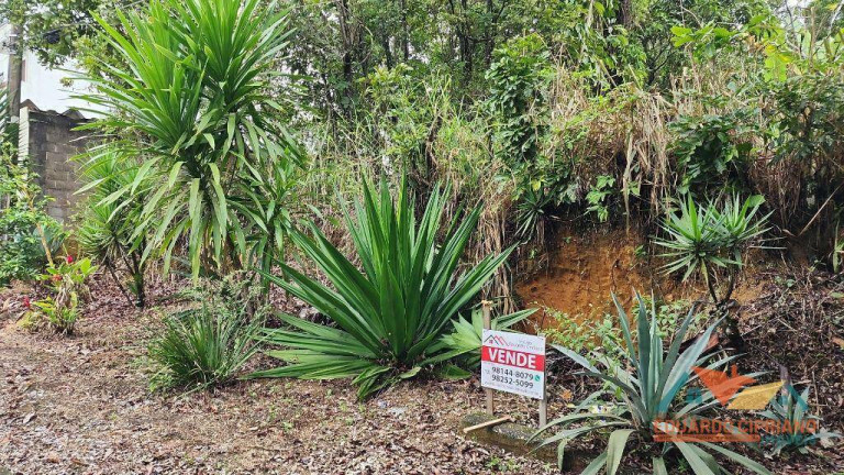 Terreno à Venda, 300 m² em Massaguaçu - Caraguatatuba