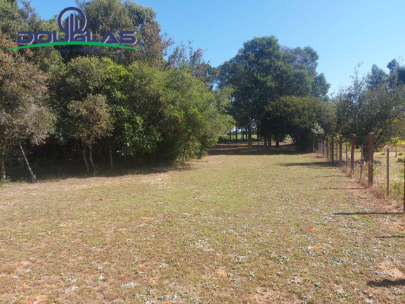 Imagem Chácara com 2 Quartos à Venda, 11.000 m² em Viamão