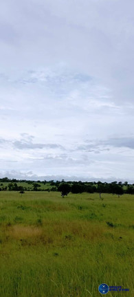 Imagem Fazenda à Venda, 294 m² em Zona Rural - Arraias Imagem Fazenda à Venda, 294 m² em Zona Rural - Arraias
