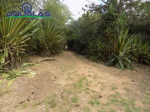 Imagem Imóvel Comercial à Venda,  em Viamão