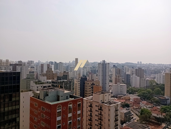Imagem Imóvel com 3 Quartos à Venda, 580 m² em Cambuí - Campinas Imagem Imóvel com 3 Quartos à Venda, 580 m² em Cambuí - Campinas