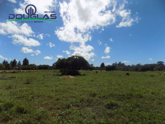 Imagem Terreno à Venda, 1.100 m² em águas Claras - Viamão