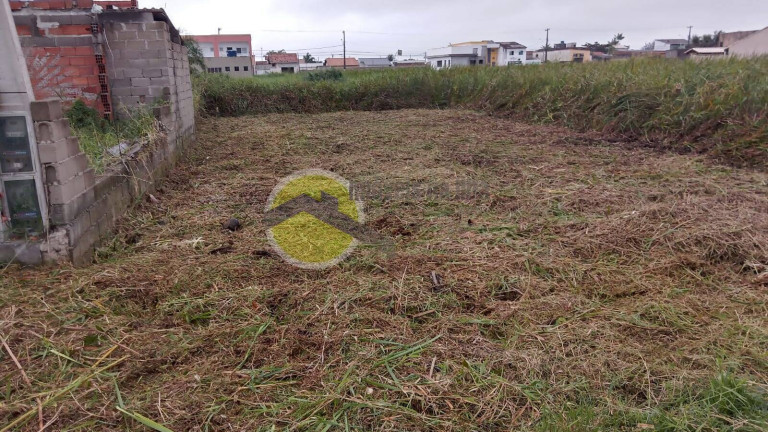 Imagem Terreno à Venda, 250 m² em Balneário Adriana - Ilha Comprida Imagem Terreno à Venda, 250 m² em Balneário Adriana - Ilha Comprida
