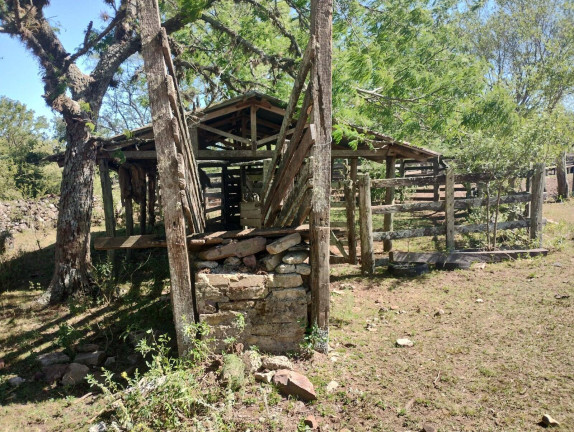 Imóvel com 2 Quartos à Venda, 2.656 m² em Quaraí