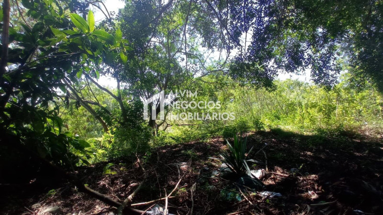 Imagem Terreno à Venda, 685 m² em Jardim Nova América - São José Dos Campos Imagem Terreno à Venda, 685 m² em Jardim Nova América - São José Dos Campos