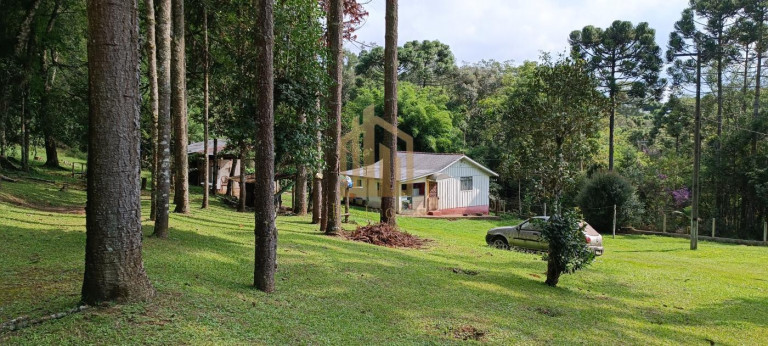 Imagem Chácara com 4 Quartos à Venda, 86.748 m² em São Dimas - Colombo