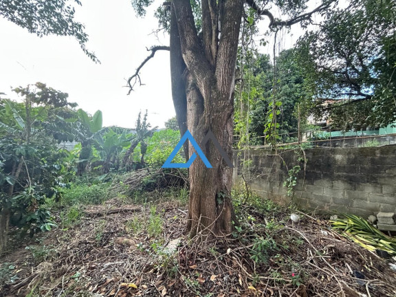 Imagem Casa com 3 Quartos à Venda, 156 m² em Região Central - Caieiras