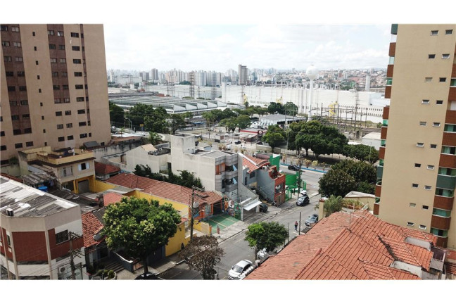 Imagem Casa com 5 Quartos à Venda, 476 m² em Santa Paula - São Caetano Do Sul