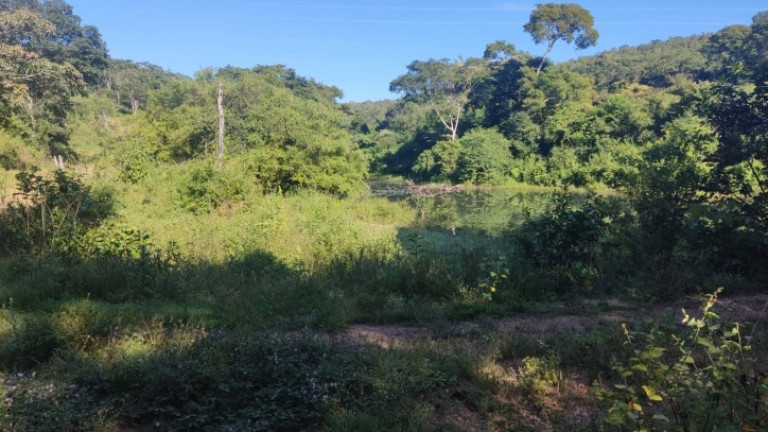 Imagem Fazenda à Venda, 84 m² em Zona Rural - Jaraguá Imagem Fazenda à Venda, 84 m² em Zona Rural - Jaraguá