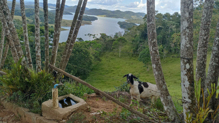 Imagem Chácara com 4 Quartos à Venda, 100 m² em Centro - Paraibuna Imagem Chácara com 4 Quartos à Venda, 100 m² em Centro - Paraibuna
