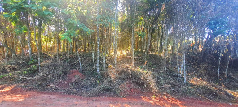 Imagem Imóvel à Venda, 700 m² em Recanto Dos Palmares - Atibaia Imagem Imóvel à Venda, 700 m² em Recanto Dos Palmares - Atibaia