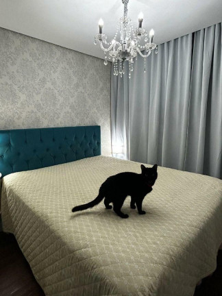 Imagem Apartamento com 3 Quartos à Venda, 107 m² em Parque Da Mooca - São Paulo Imagem Apartamento com 3 Quartos à Venda, 107 m² em Parque Da Mooca - São Paulo