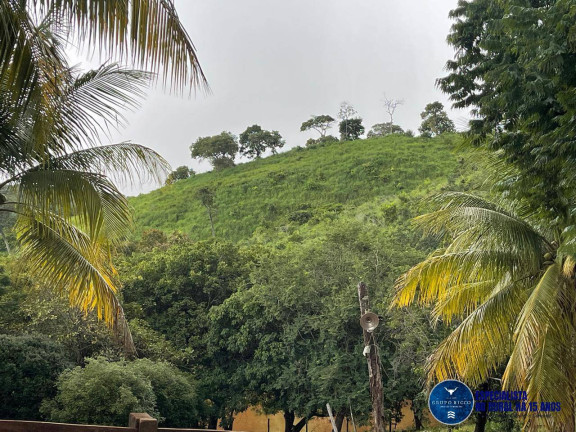 Imagem Fazenda à Venda, 33 m² em Zona Rural - Goiás Imagem Fazenda à Venda, 33 m² em Zona Rural - Goiás