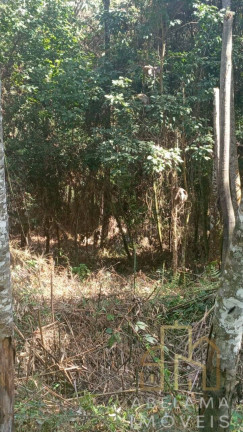 Imagem Terreno à Venda, 5.200 m² em Moreiras - Mairinque