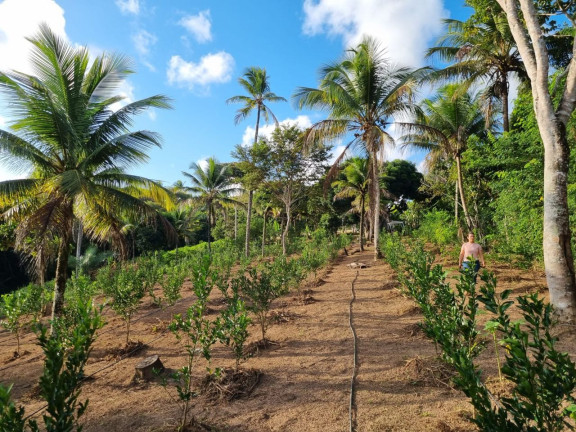 Imagem Imóvel à Venda, 12.000 m² em Zona Rural - Camaçari