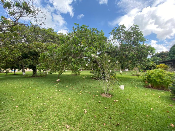 Imagem Imóvel com 4 Quartos à Venda, 30.500 m² em Cachoeira - Salvador
