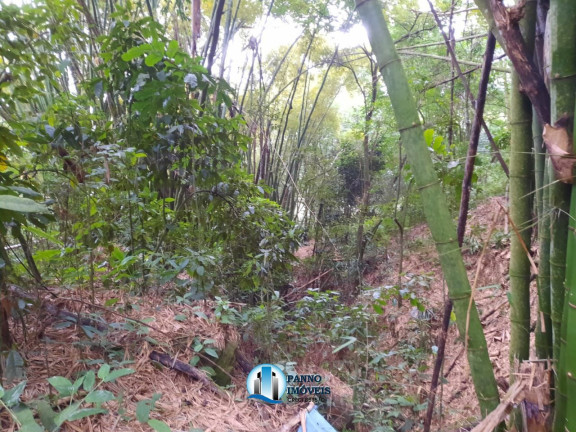 Imagem Imóvel com 2 Quartos à Venda, 71.000 m² em Parque Xerém - Duque De Caxias Imagem Imóvel com 2 Quartos à Venda, 71.000 m² em Parque Xerém - Duque De Caxias