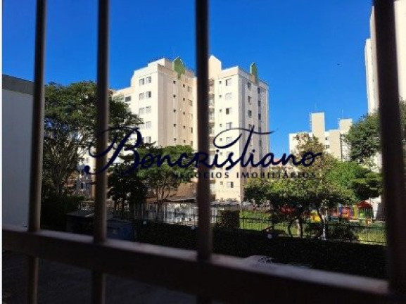 Imagem Apartamento com 2 Quartos à Venda, em Vila Amélia - Sao Paulo Imagem Apartamento com 2 Quartos à Venda, em Vila Amélia - Sao Paulo