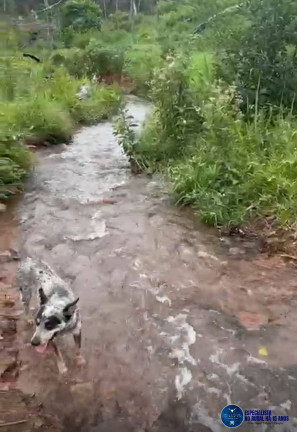 Imagem Fazenda à Venda, 45 m² em Zona Rural - São Félix Do Xingu Imagem Fazenda à Venda, 45 m² em Zona Rural - São Félix Do Xingu