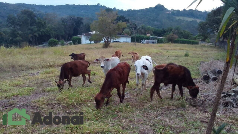 Imagem Chácara com 4 Quartos à Venda, 350 m² em Jarinu - Jarinu Imagem Chácara com 4 Quartos à Venda, 350 m² em Jarinu - Jarinu