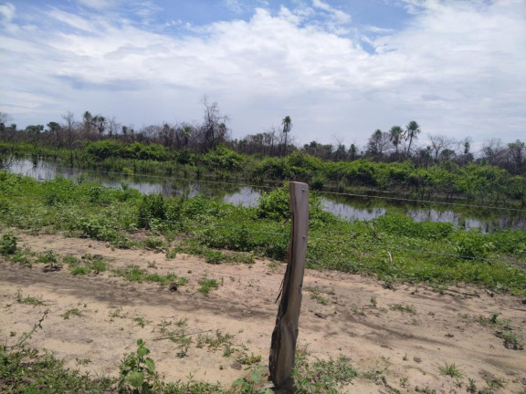 Imagem Fazenda à Venda, 2.050 m² em Rural - Rio Verde De Mato Grosso