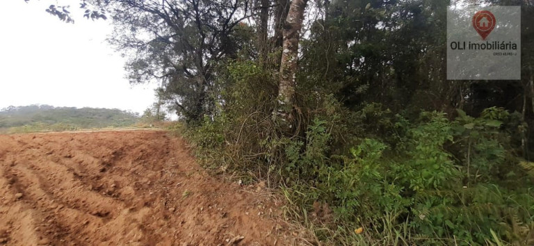 Imóvel à Venda, 98.000 m² em Piedade - Piedade