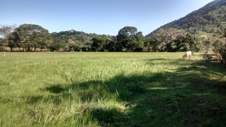 Imagem Chácara à Venda, 4.800 m² em São João Do Rio Vermelho - Florianópolis Imagem Chácara à Venda, 4.800 m² em São João Do Rio Vermelho - Florianópolis